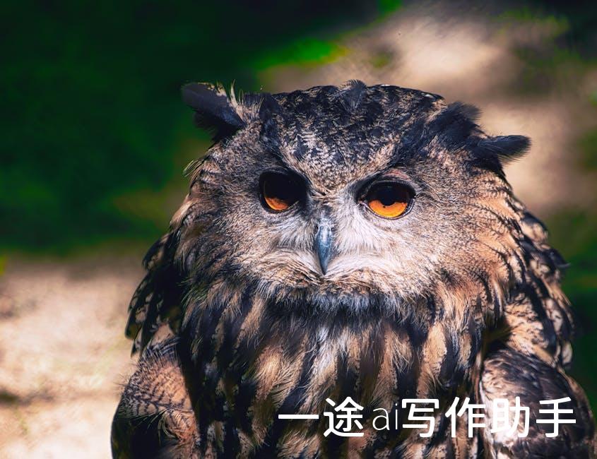 告别手动写作，AI智能写作生成器，开启高效创作时代！