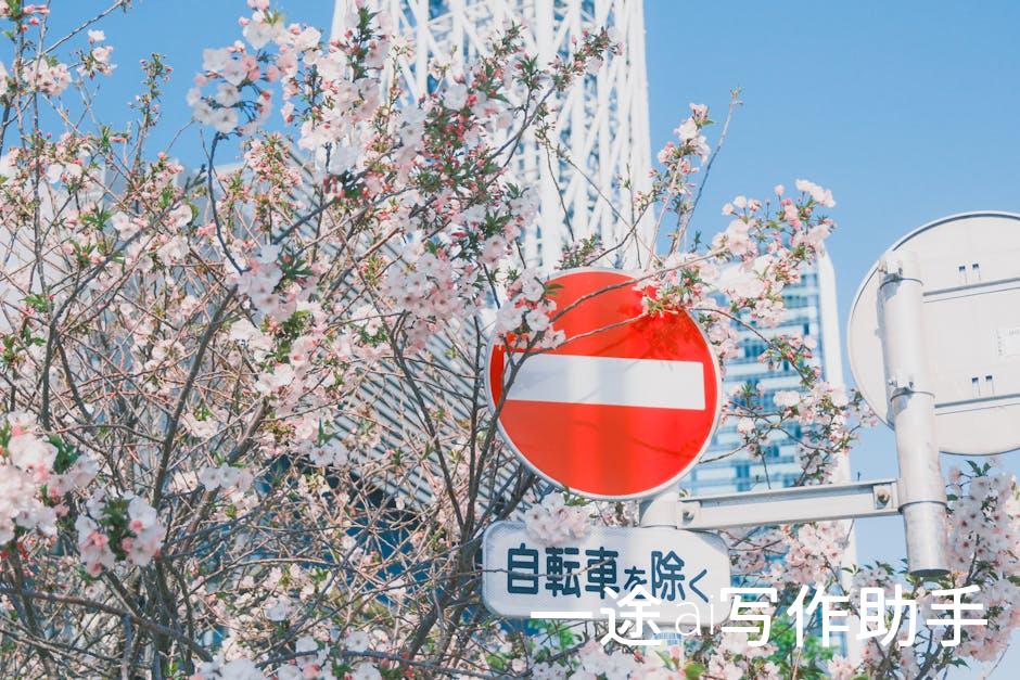 自媒体时代，哪种推广手段最吃香？快来解锁你的流量密码！