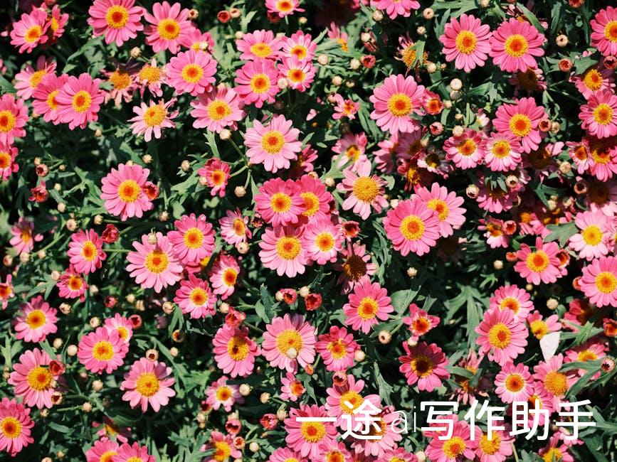 告别默默无闻，自媒体教你成为行业KOL！