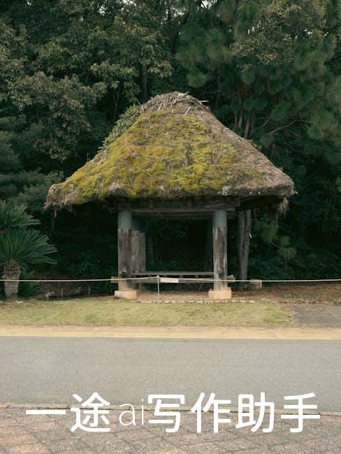 短视频风口来袭，教你玩转自媒体运营新法则！