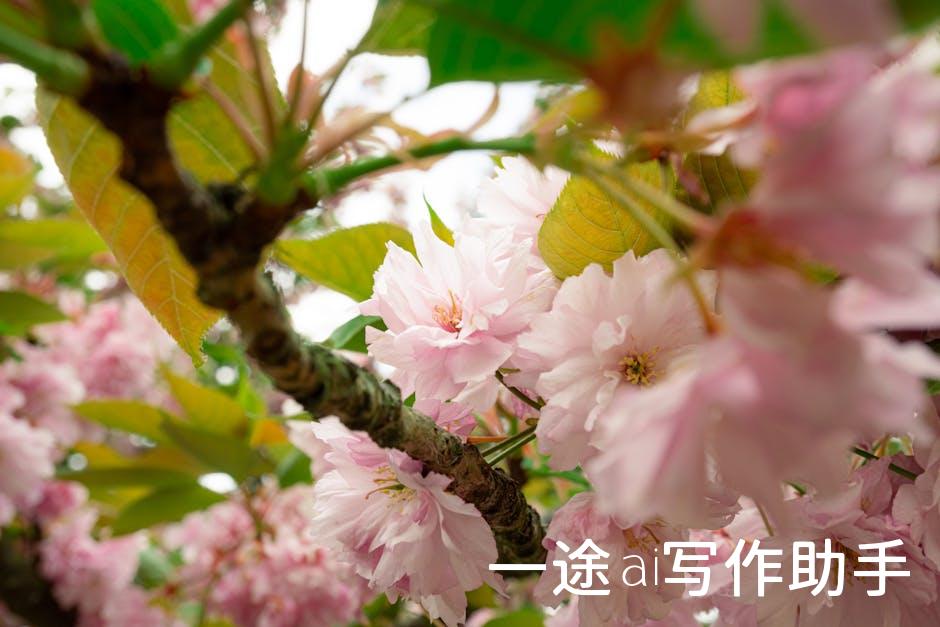效率至上：学会这些方法，工作生活两不误