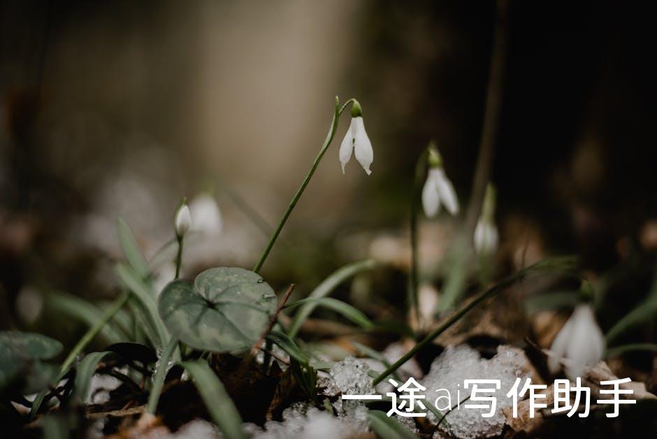 💡未来已来，人工智能概念股投资攻略：锁定这些金股，财富翻倍不是梦！