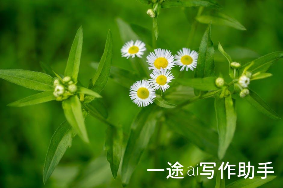 抖音自媒体赚钱术：教你如何成为下一个流量收割机！