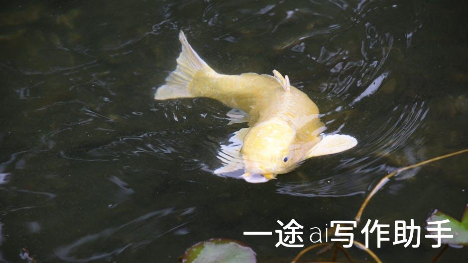 教育改变命运，培训铸就辉煌——立即报名！