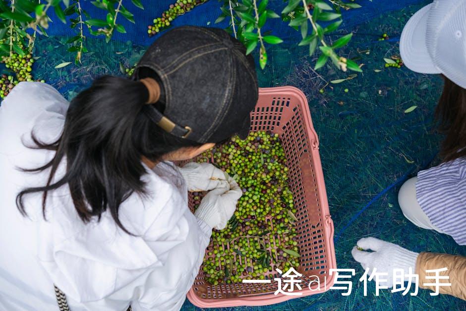 培养未来领袖，从优质教育培训开始！