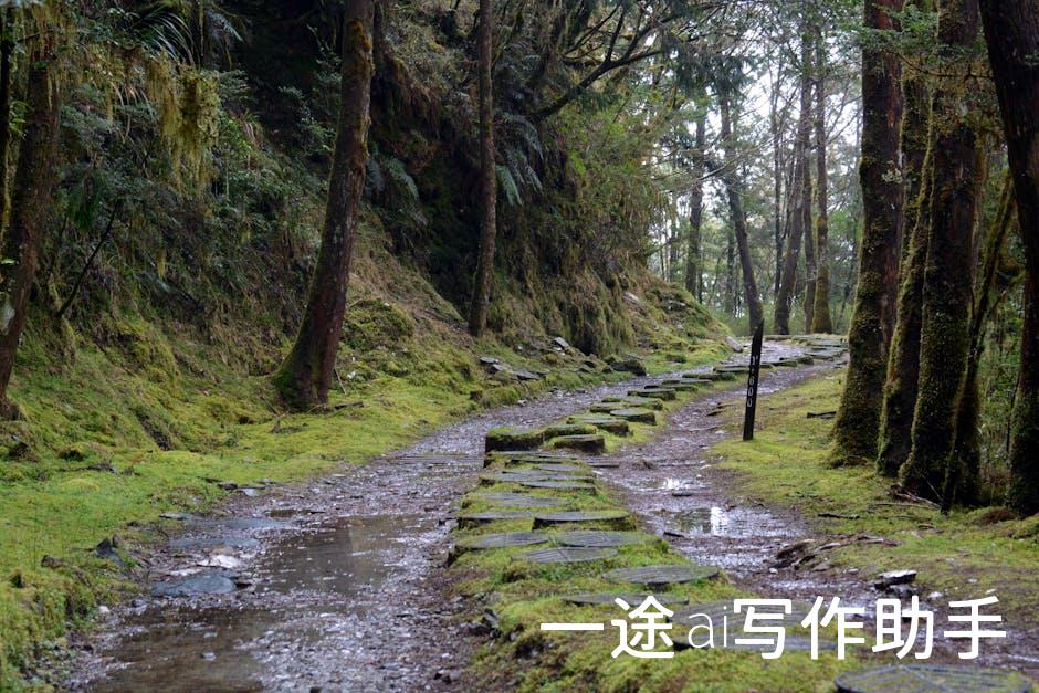 揭秘高效工作秘籍：让你的效率飙升，成就非凡人生！