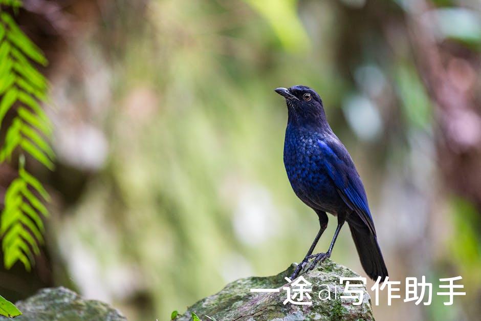 未来战火：人工智能全面升级，揭秘智能战争新格局！