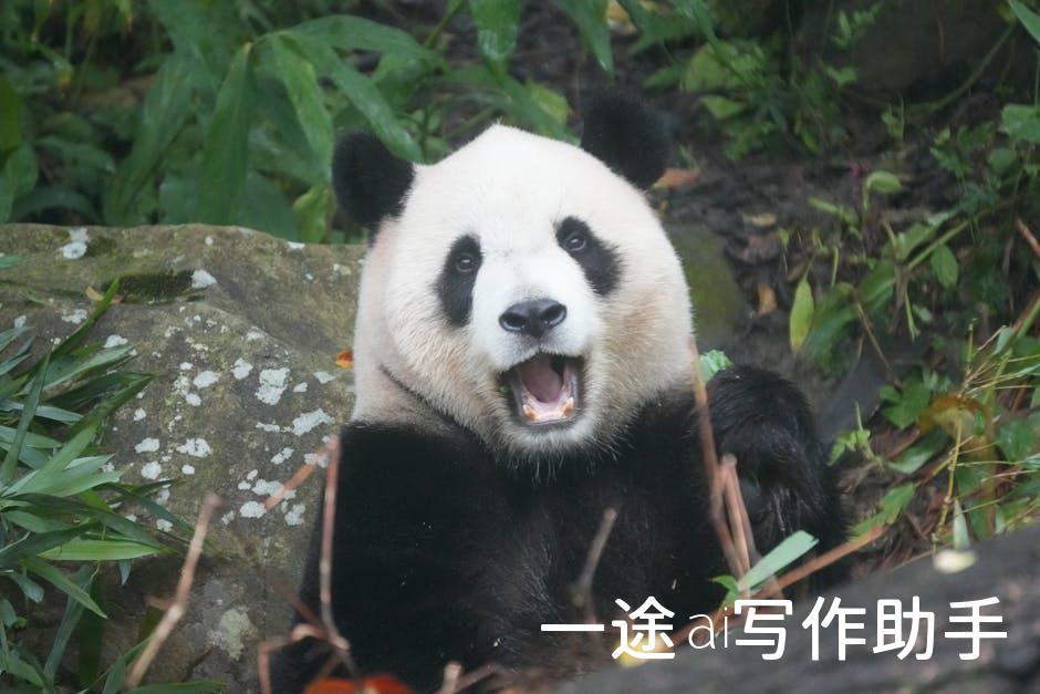 升级你的知识库，我们的教育培训让你领先一步！
