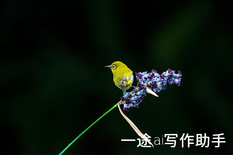 一键注册大鱼号，开启自媒体变现之路，你准备好了吗？
