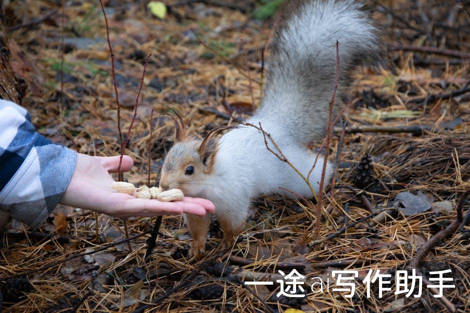 一语道破高效率：这些形容词让你成为职场佼佼者！