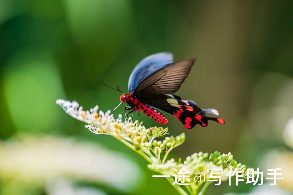从科幻到现实：人工智能，开启智能生活新纪元！