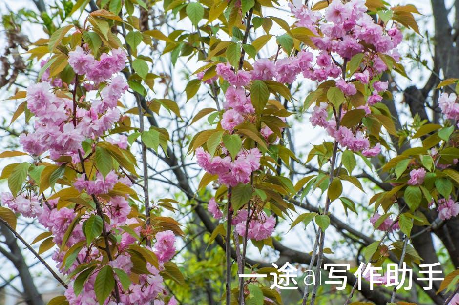 揭秘自媒体：新时代的内容创业”风口职业！