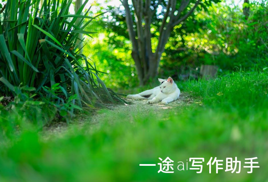效率达人养成指南：让你的工作成果翻倍增长