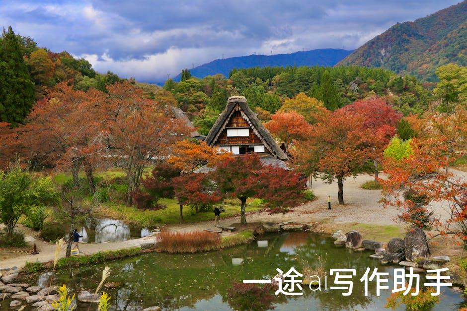 培养明日之星，从优质教育培训开始！