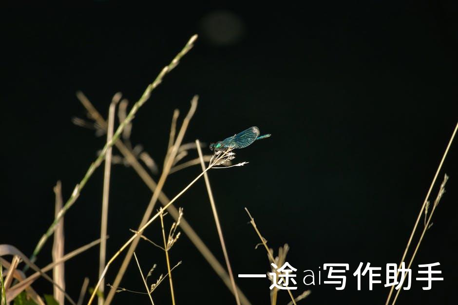 轻松创作，高效产出！揭秘AI写作生成器的神奇魅力！