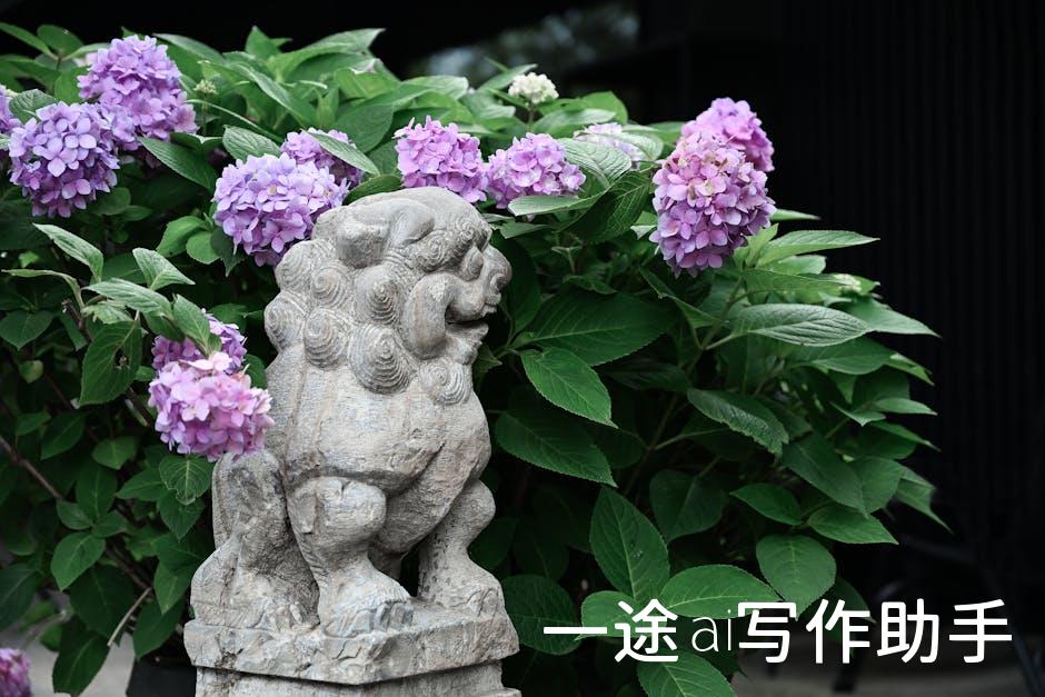 抖音自媒体达人速成指南：月入过万不是梦！