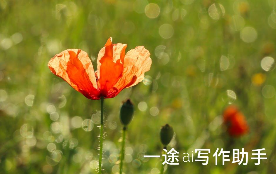 一键生成优质文案！AI写作神器，营销达人必备良品！