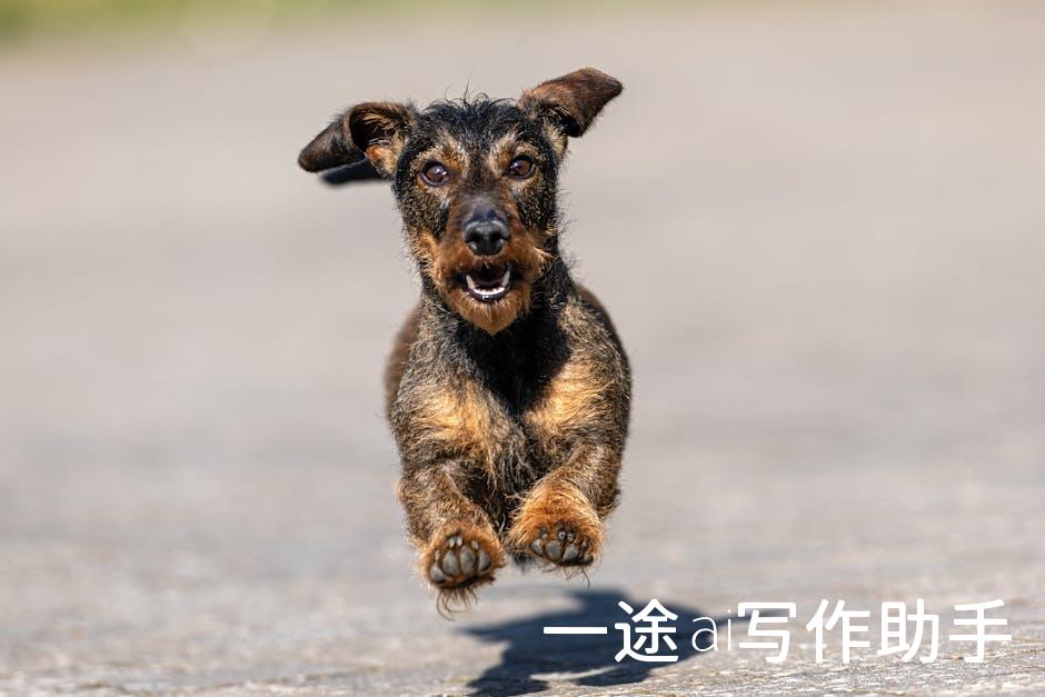 搜狐自媒体新风口：抢占内容营销制高点，你准备好了吗？