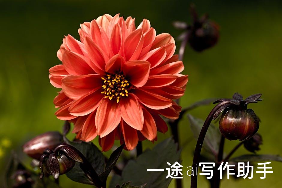 一键打造自媒体爆款，百家号教你玩转内容营销江湖！