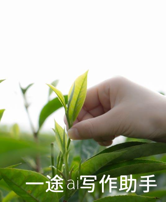 加入网易自媒体，让你的声音响彻网络！