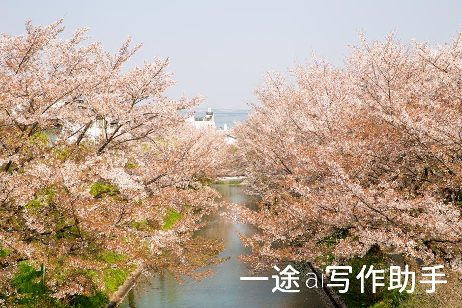 打造高效工作模式：让你的每一天都充满动力