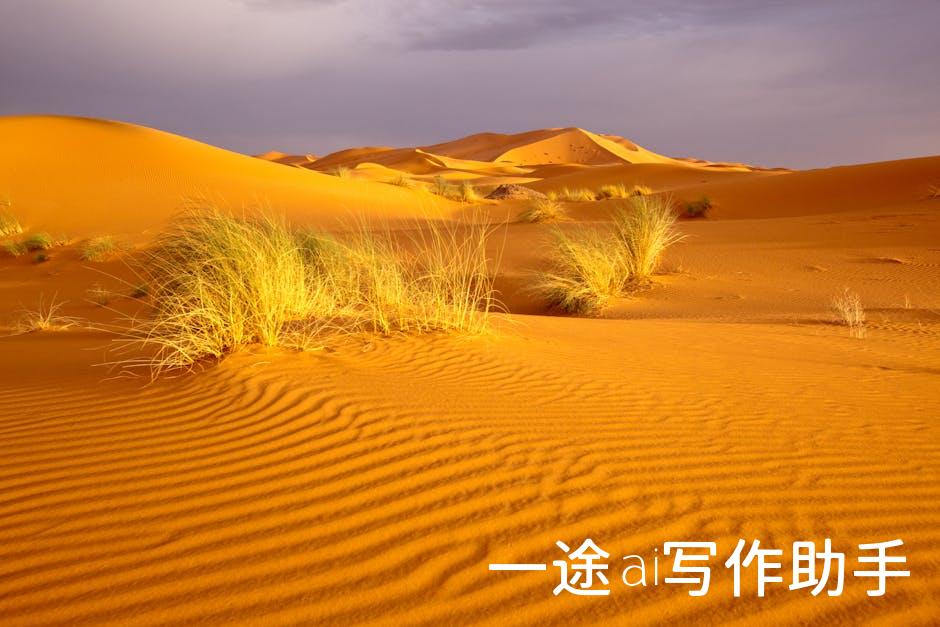 揭秘自媒体江湖：盘点最受热捧的五大平台，你站哪一边？