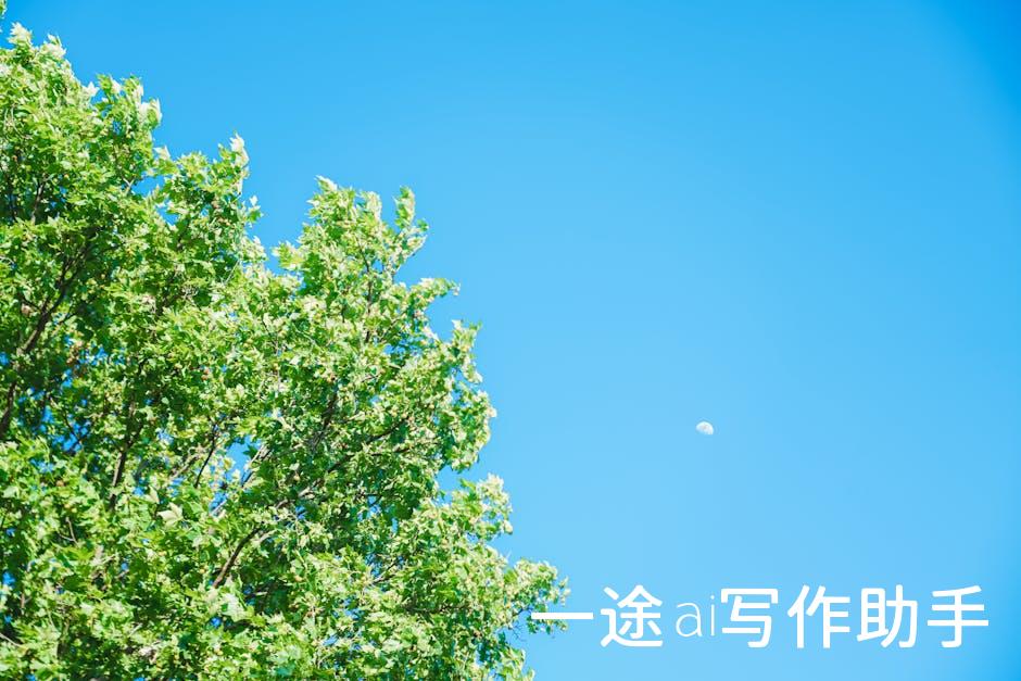 告别拖延，开启高效工作之旅，成就卓越未来！