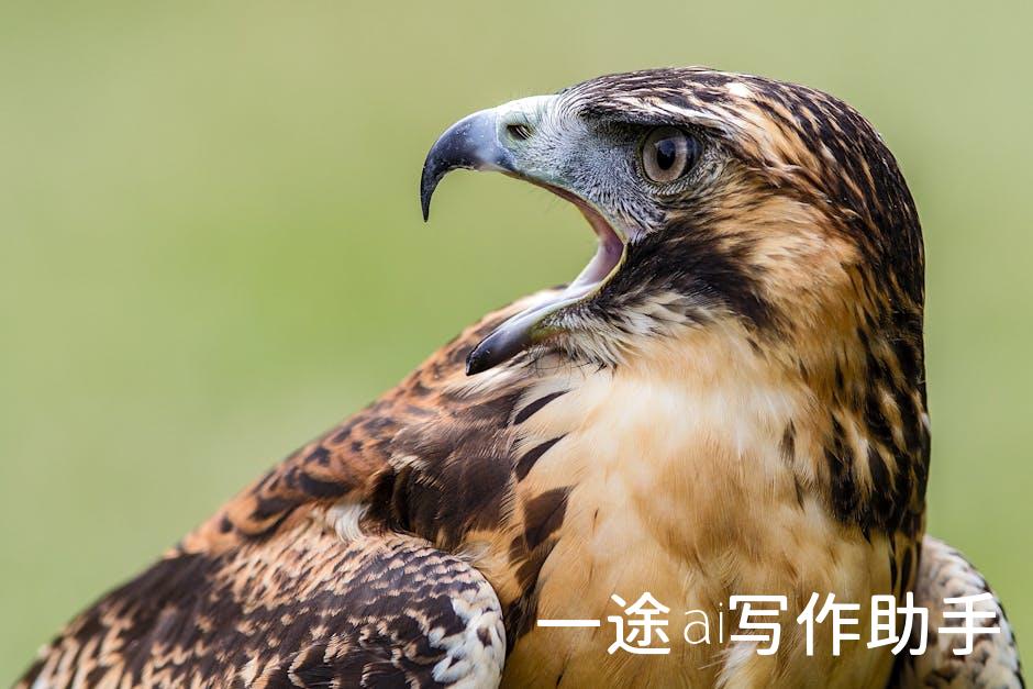 自媒体创业必看！盘点最火热的平台，选对平台，让你的内容火遍全网！