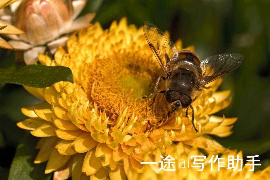 自媒体新风口，搜狗平台助你乘风破浪，成就非凡！