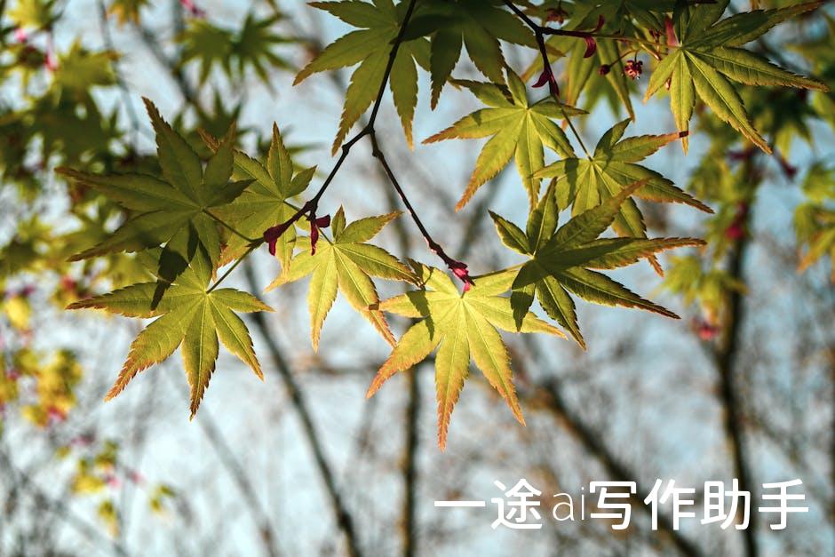 工作狂必看！效率提升指南，让你告别加班，享受生活！