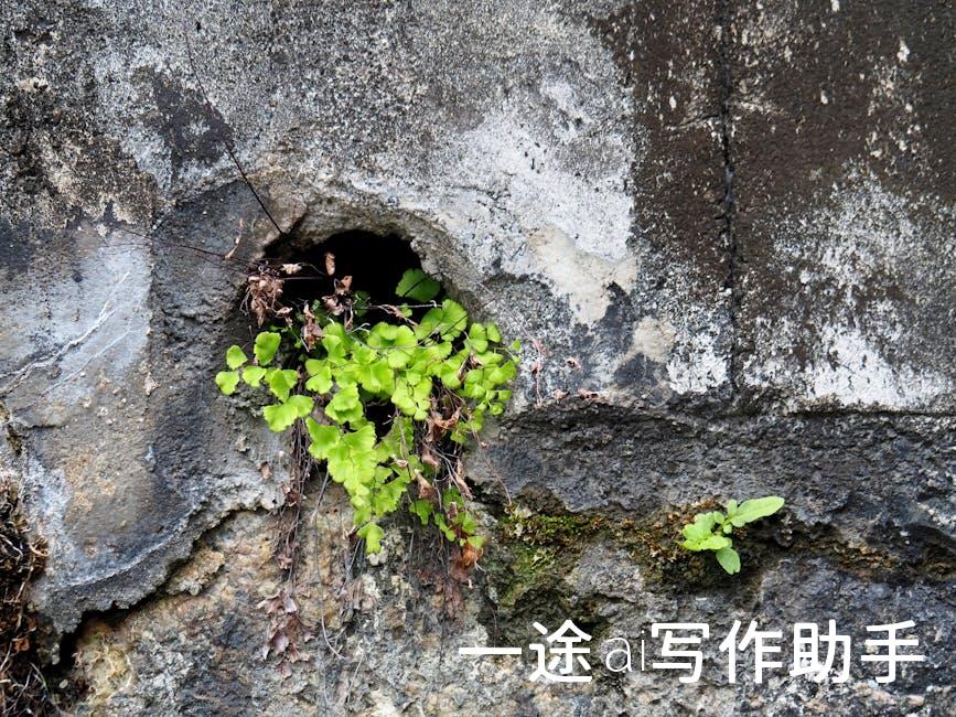 破解效率难题，大绝招让你工作如虎添翼