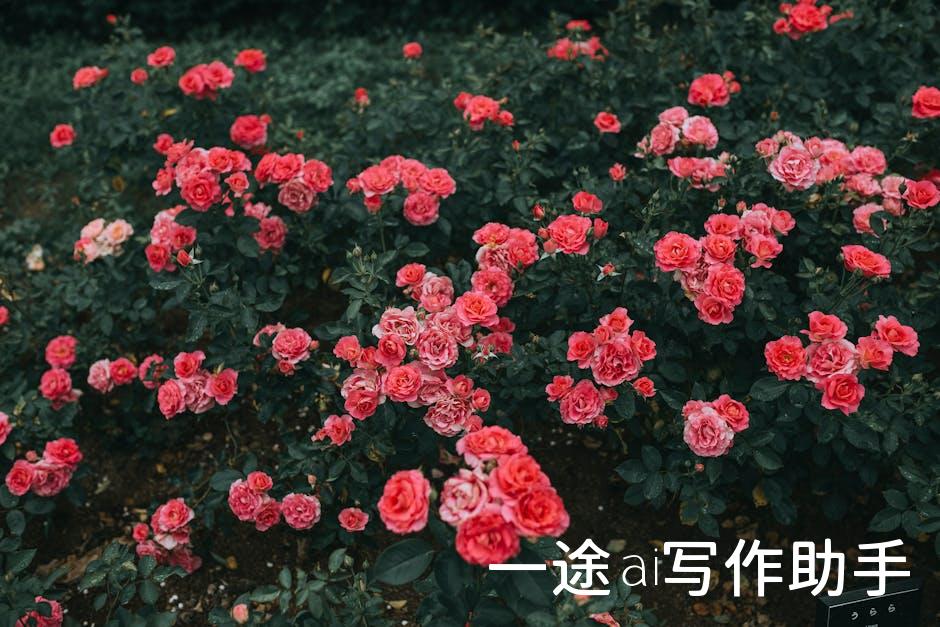 效率至上！学会这些技巧，让你的工作事半功倍