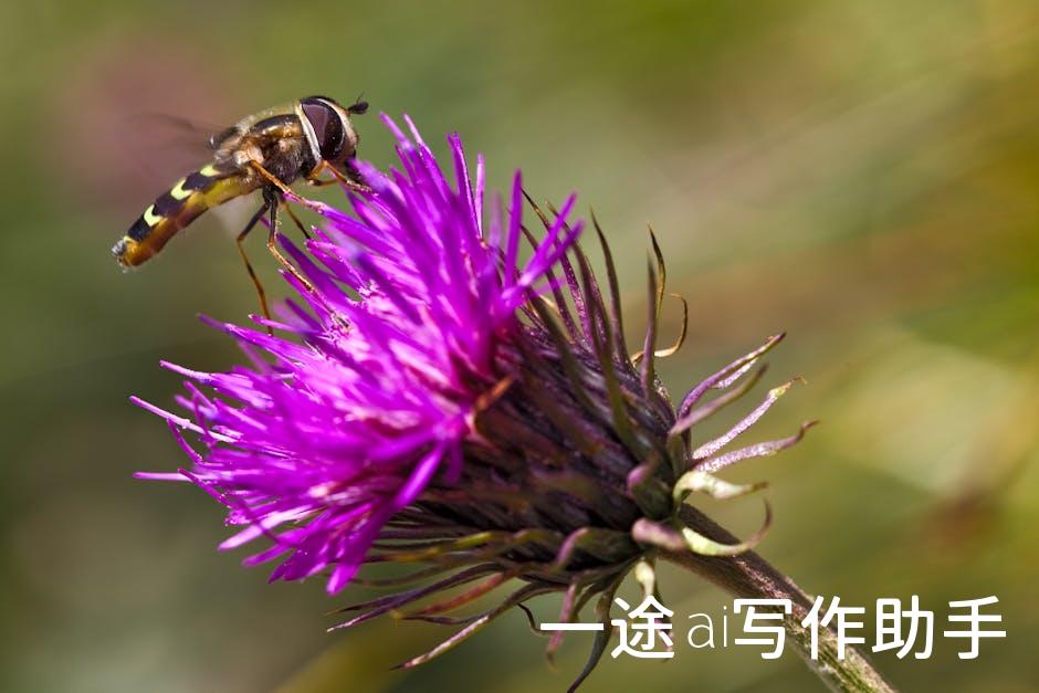 内容创作新风口，快看点自媒体平台，你值得拥有！